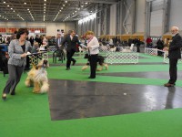 /album/ewoks-gallery/a9-jpg/