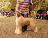 /album/boa-vistas-gallery/a580334-3548622205769-1169672837-n-jpg/