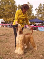 /album/boa-vistas-gallery/a282135-3527326953401-1131275552-n-jpg/