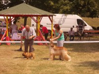 /album/boa-vistas-gallery/a010-jpg/