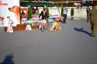 /album/ewoks-gallery/dsc-0250-jpg1/