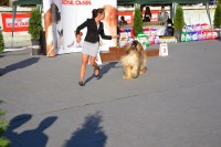 /album/ewoks-gallery/dsc-0252-jpg1/