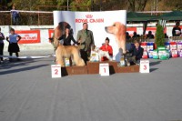 /album/ewoks-gallery/dsc-0264-jpg1/