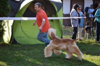 /album/boa-vistas-gallery/dsc-0044-jpg/