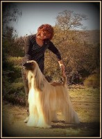 /album/ewoks-gallery/a1558849-10201109137362100-1056936631-n-jpg1/