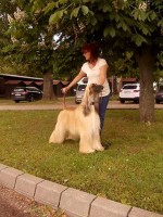 /album/ewoks-gallery/weblap-jpg/