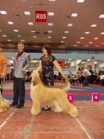 /album/gallery/a561485-3586612235496-1041275817-n-jpg/