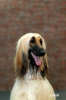 /album/gallery/a664998-3689052796446-1384848256-o-jpg/